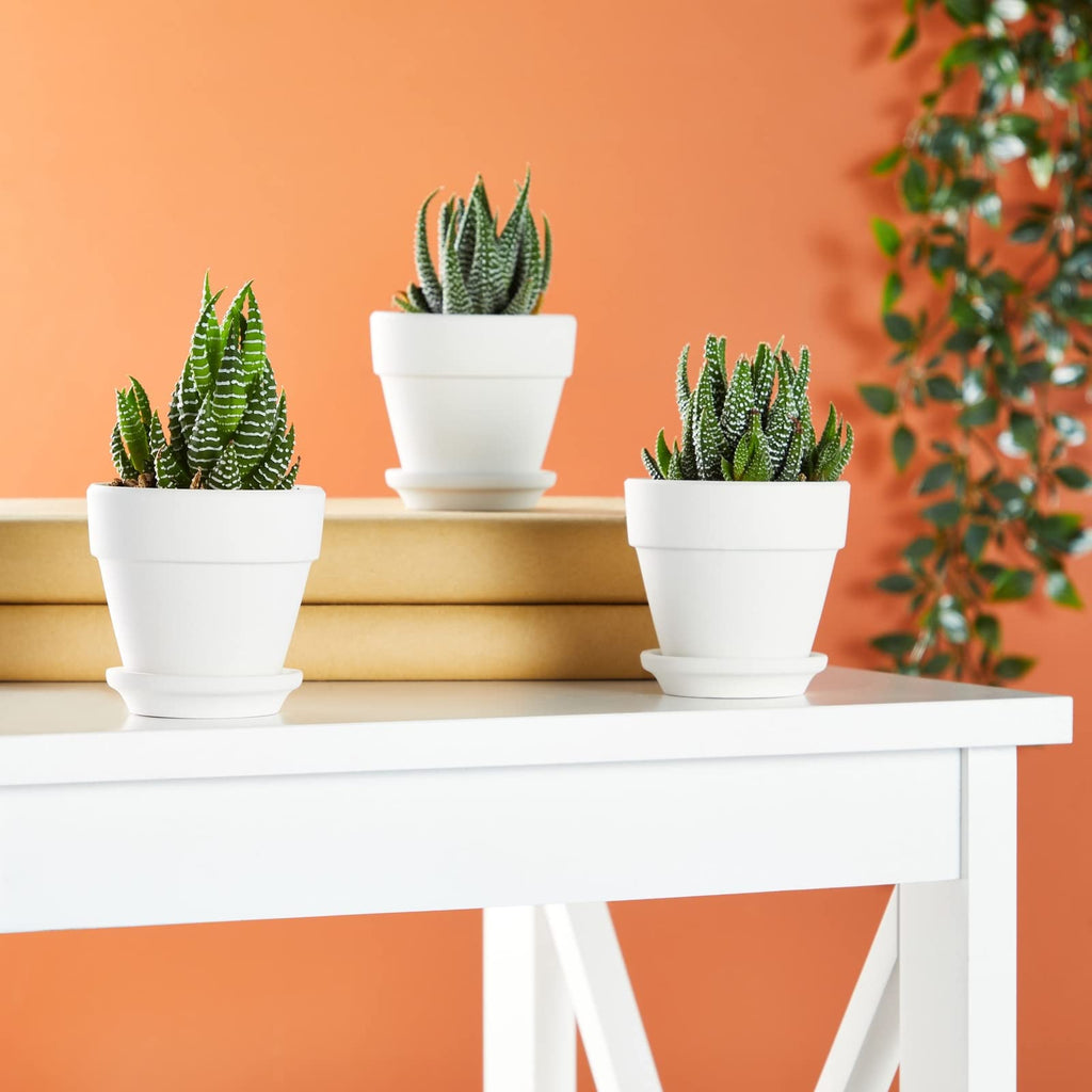 Mini Terracotta Pots - Pot with Drainage Hole - Versatile Succulent & Herb Planter - Paintable White Planter for