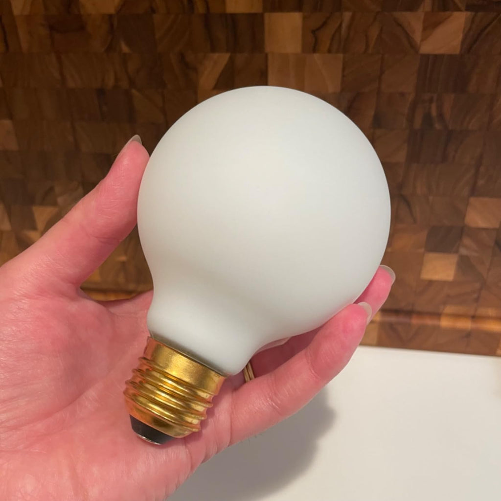 LED Light Bulb E26 Base Matt Opal Porcelain Dimmable Edison 8W Led Globe Bulb,800LM,75 Watt Equivalent,Outside