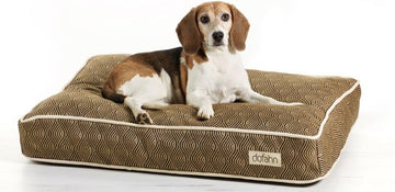 Dog Bed Driftwood Collection (Large)