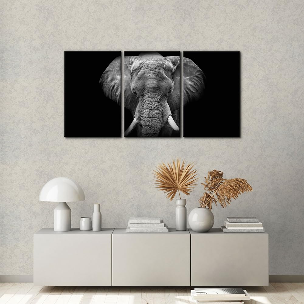3 Pieces Wall Art Elephant Canvas Wall Decor Black and White Animal Pictures Painting Prints Modern Framed Artwork