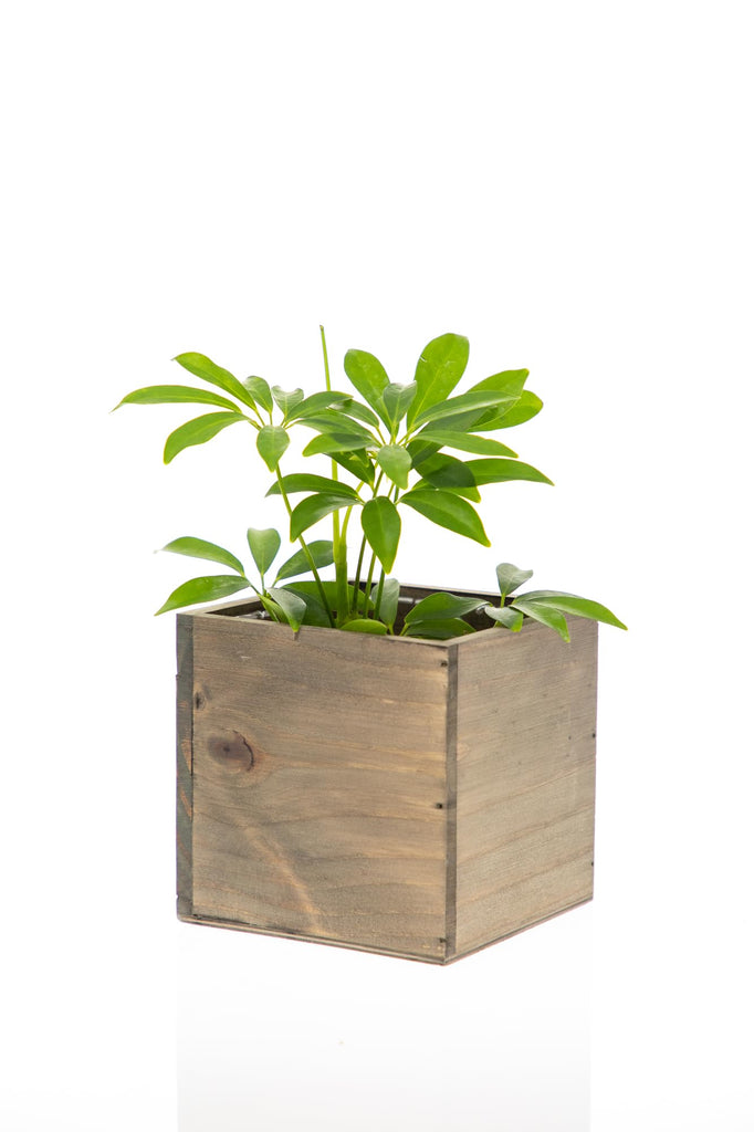 Wooden Planter Box, Rustic Barn Wood with Plastic Liner l Garden Decor l Restaurant and Wedding Decorations l Wedding