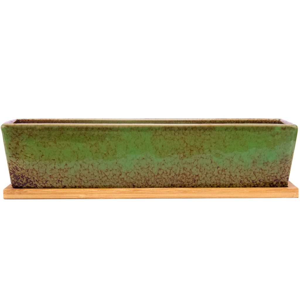 12.1 Inch Large Succulent Planters Pots with Drainage Tray, Long Rectangle Ceramic Pots for Indoor Cactus/Succulent