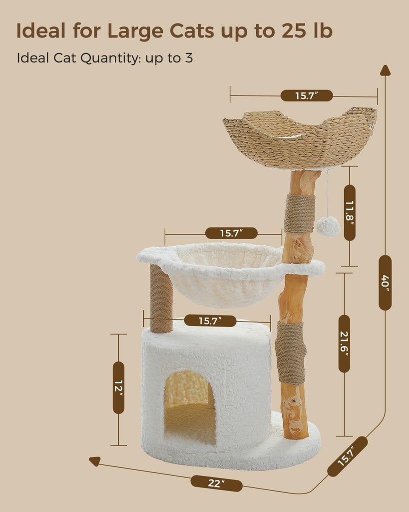 Modern Cat Tree for Large Cats, Wood Cat Tower for Indoor Cats, Real Branch Luxury Cat Furniture with Super Large