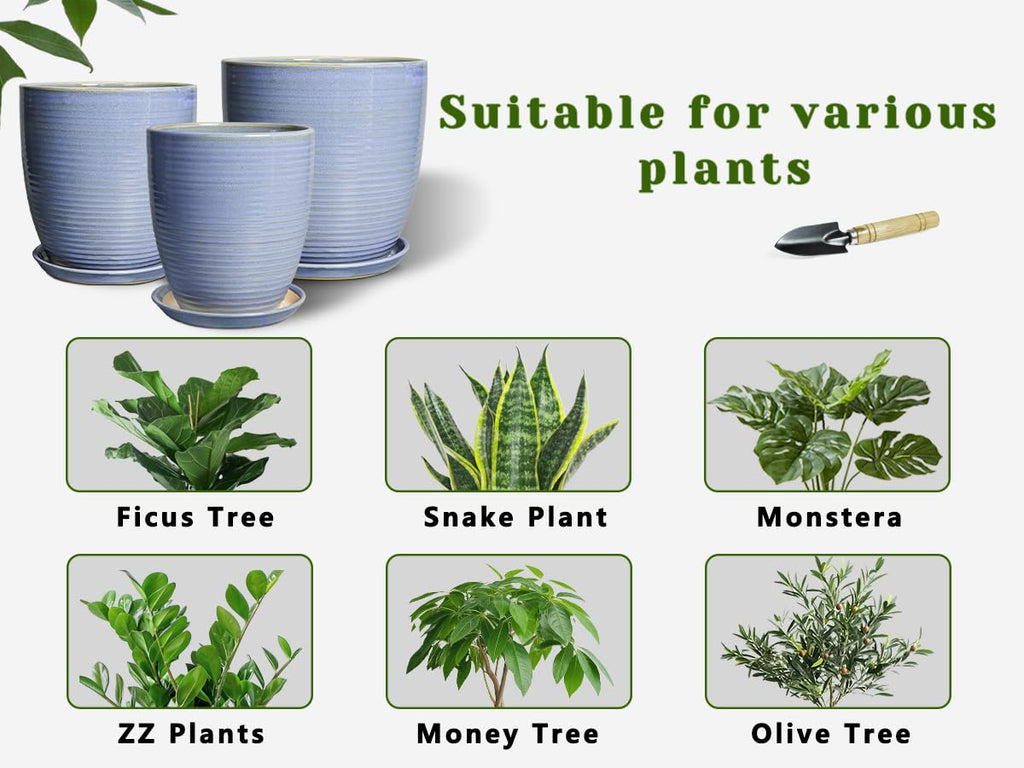 Ceramic Planter - Modern Round 12 Inch Pots for Plants with Drainage Hole and Plant Saucer for Flower Indoor, Garden