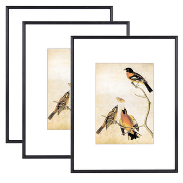8.5x11 Black Metal Photo frames 3 Pack HD Glass Mat 5x7 Wall Table