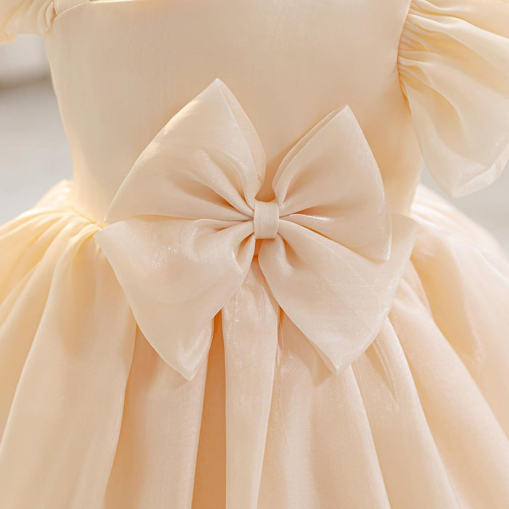 Baby Flower Girl Dress Wedding Guest Birthday Party Princess Dresses Tutu