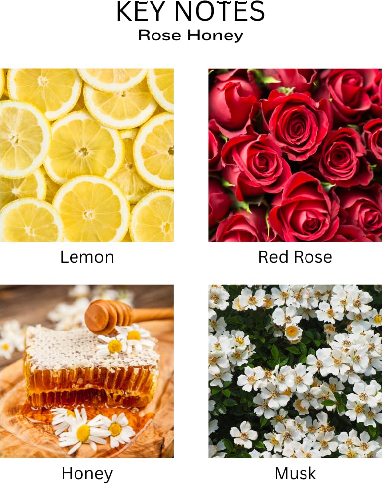PEANÄK Reed Diffuser Set - Sandalwood Rose Fragrance 6.7oz (200 ml) - Real Preserved Flowers & 8 Reed Sticks Shelf