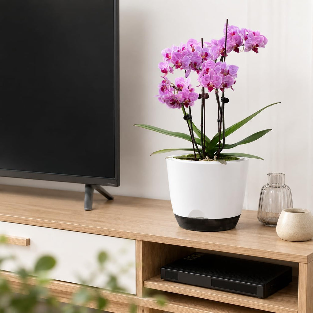 2 Pack 5.7 Inch Orchid Pots with Holes for Repotting, Double-Layer and Self Watering Orchid Pot with Good Air