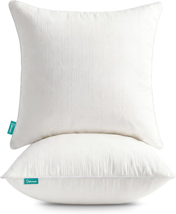 Throw Pillow Inserts 20x20, Decorative Throw Pillows - Set of 2