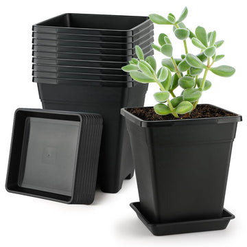 Square Plastic Planter 8 Inch, Plant Pots with Drainage Hole & Tray, 10 Pack Modern Decorative Garden Pot with