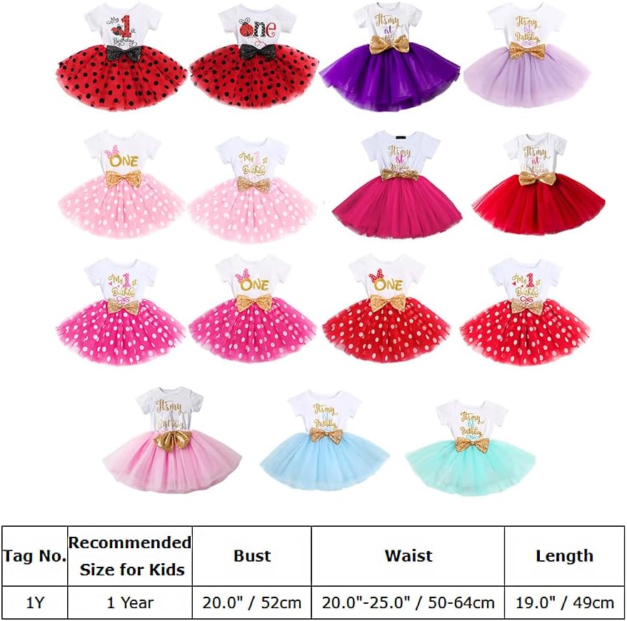 Baby Girls 1st 2nd Birthday Outfit Tutu Princess Dress for Cake Smash