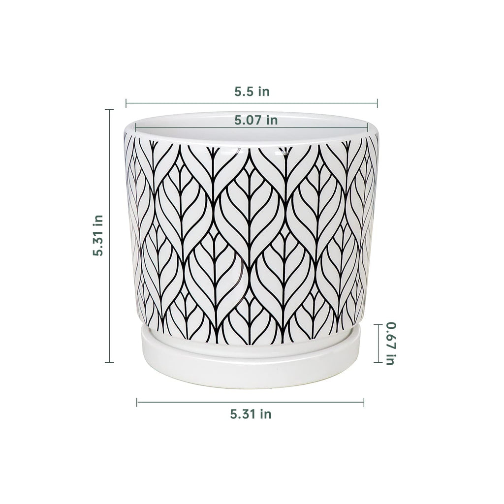 Plant Pots 5 Inch White Ceramic Flower Pots with Drainage Indoor Planters