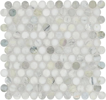 HTC359 Alpine Sheen Polished Marble Penny Round Mosaic Tile Wall, Shower Floor, Kitchen Backsplash, Accent Decor (Box