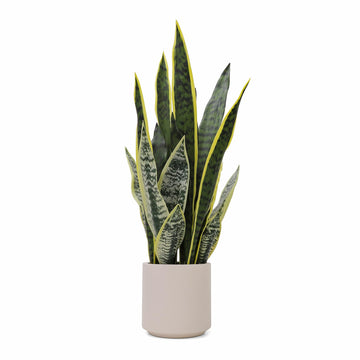 Artificial Snake Plant 26.5 Inch Fake Sansevieria Plant Faux Tall Tiger Potted Plant Indoor Floor Decor Living Room