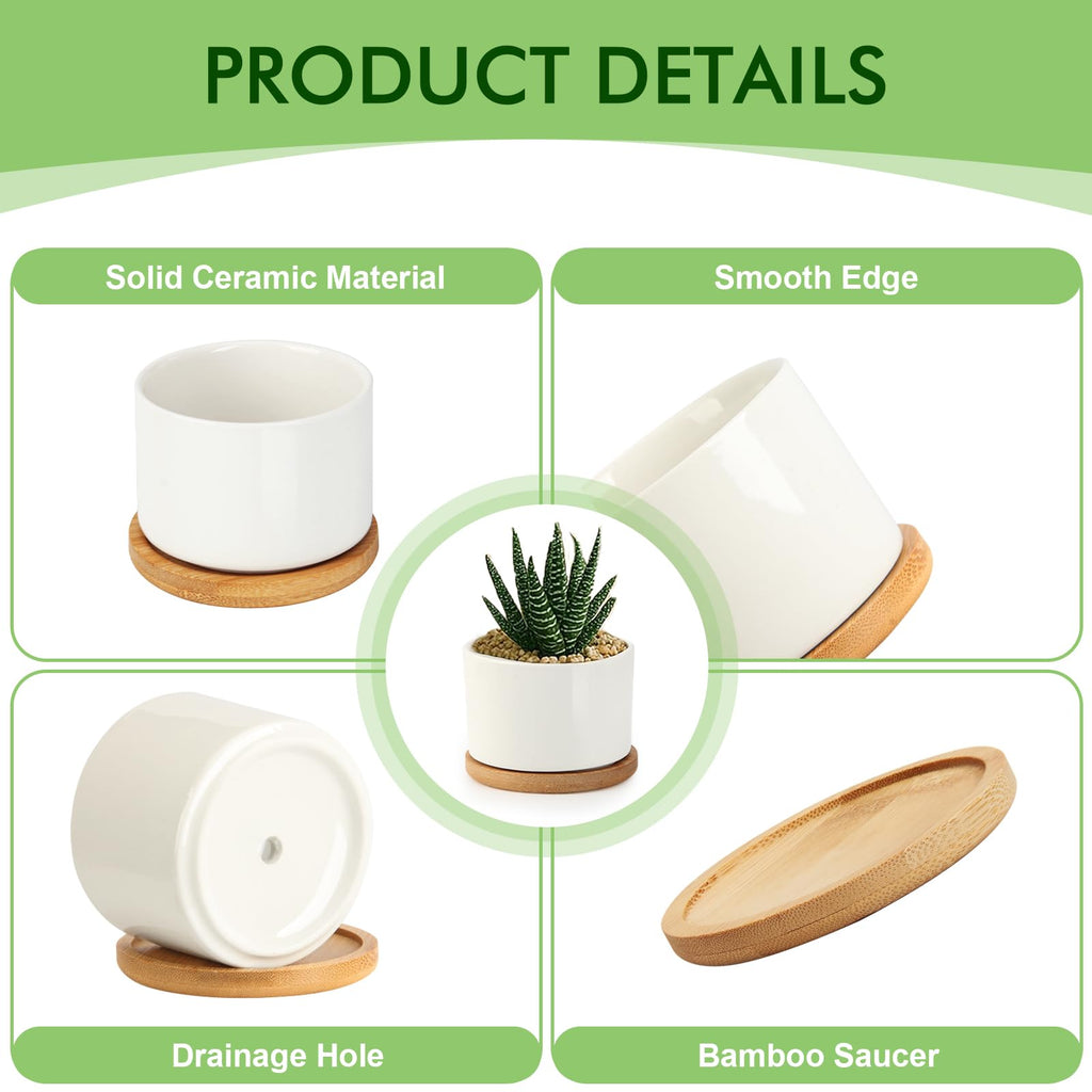12 Pack 3.1" Ceramic Succulent Pots, White Planter with Drainage Tray