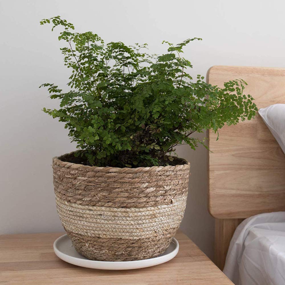 Seagrass Planter Basket - Set of 3 Hand Woven Basket Indoor Outdoor Storage Flower Pot Cover Containers with