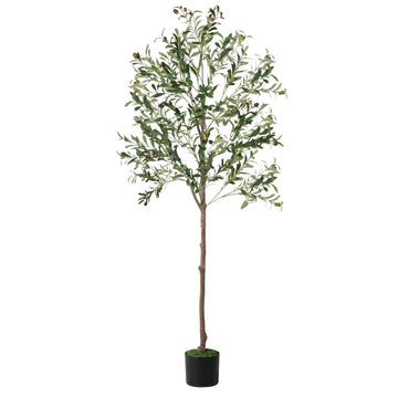 Olive Tree, 6FT Tall Faux Olive Tree with Lights Moss and Planter, Olive Trees Artificial Indoor with Realistic Wood