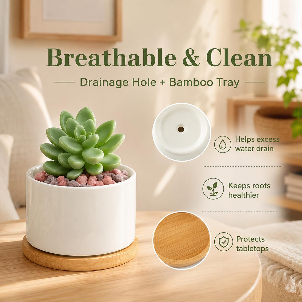 12 Pack 3.6" Ceramic Succulent Pots, White Planter with Drainage Tray