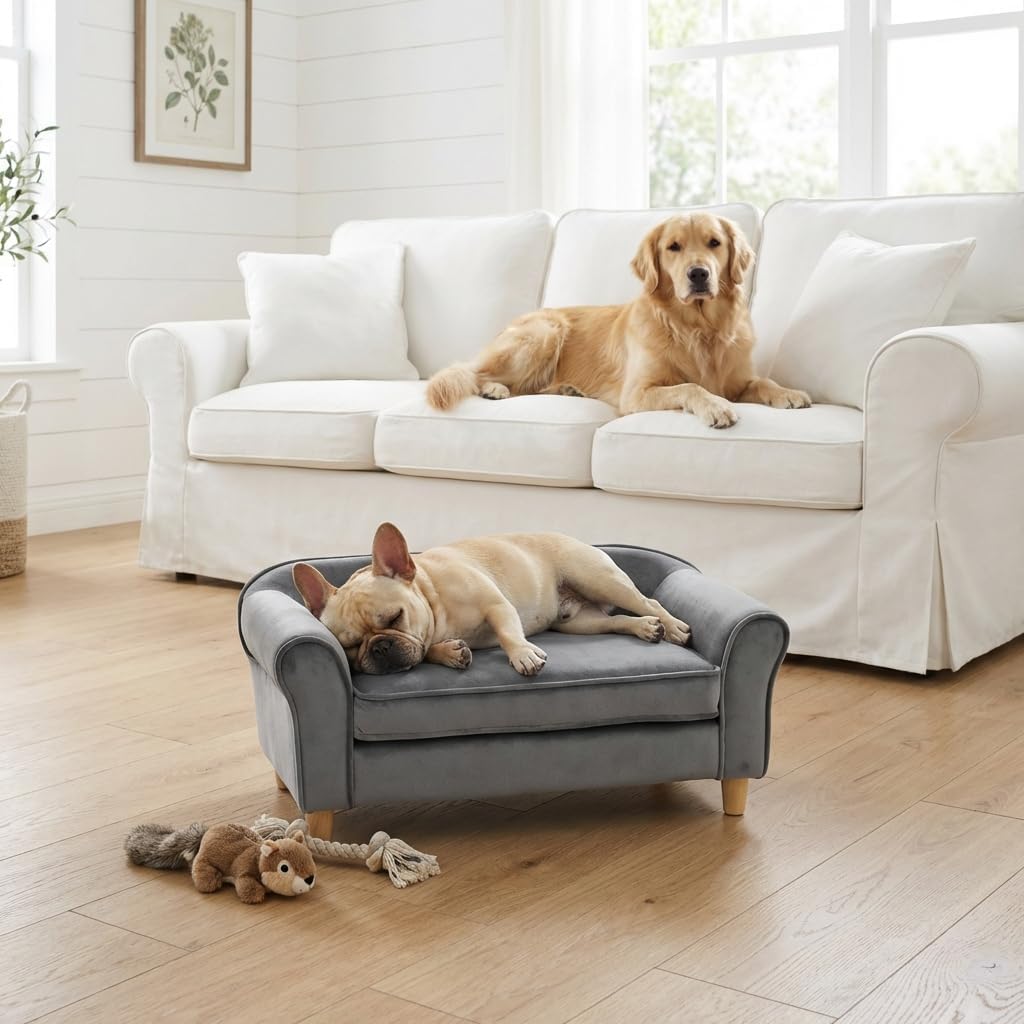 Pet Sofa Bed for Small Dogs and Cats with Backrest and Armrest 28.7" Modern Velvet Pet Couch Comfort Elevated Dog