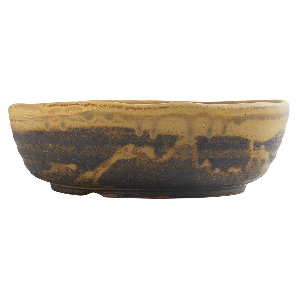 Shigaraki Series Yellow Dust Stripe Glazed Ceramic Bonsai Pot