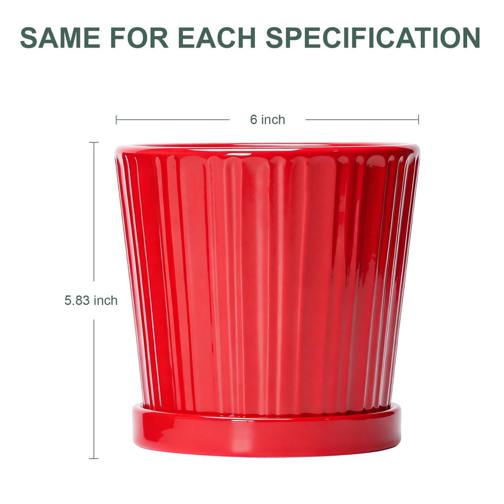 6 Inch Flower Pots for Plants, Ceramic Planter with Drainage and Saucer