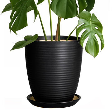 Ceramic Plant Pot - 8 Inch Ceramic Planter for Indoor Plants Glazed Round Flower Pot with Drainage Hole and Saucer