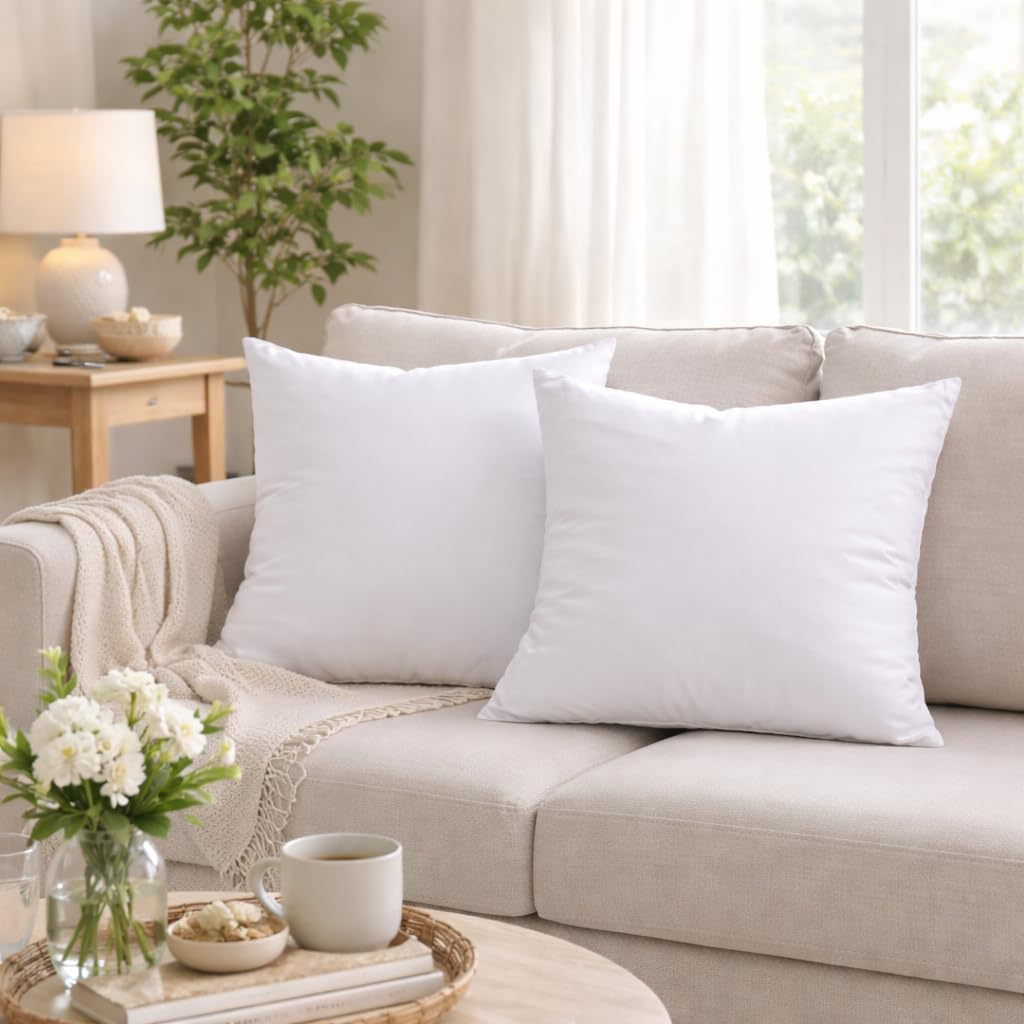 Premium 20 x 20 Throw Pillow Inserts Hypoallergenic Square Form Decorative Pillows for Sofa Couch Bed - Set of 4