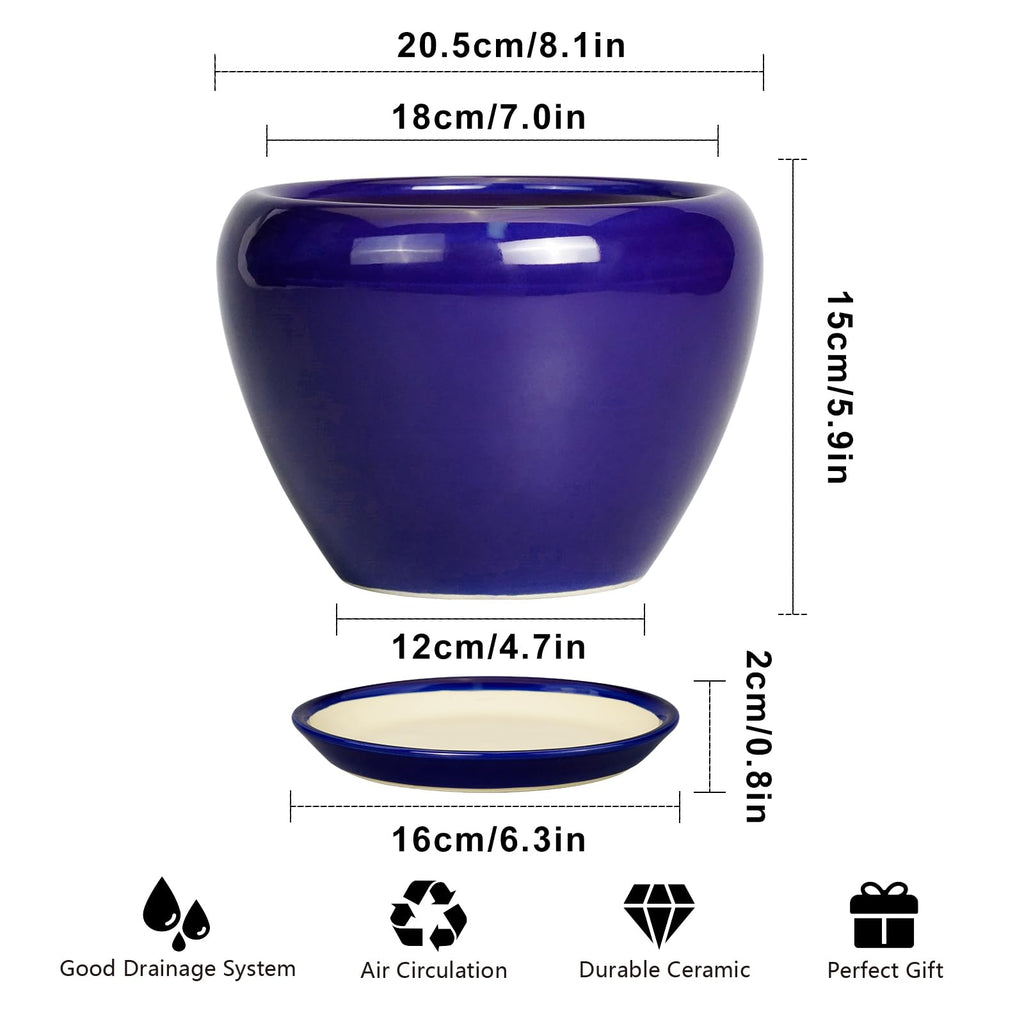 Ceramic Plant Pot 8 Inch, Planter for Indoor Plants, Royal Blue