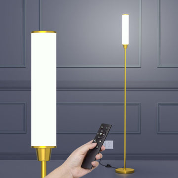 Floor Lamp with Remote Control,Bright Floor Lamps /Bedroom/Office, Stepless Adjustable 3000K-6000K Colors and 10-100%