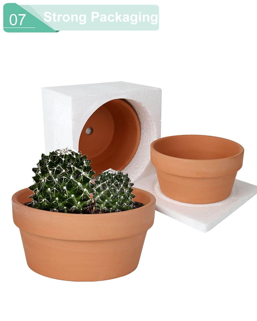 8 Inch Terracotta Shallow Planter Pots, 2 Pack, Drainage Hole