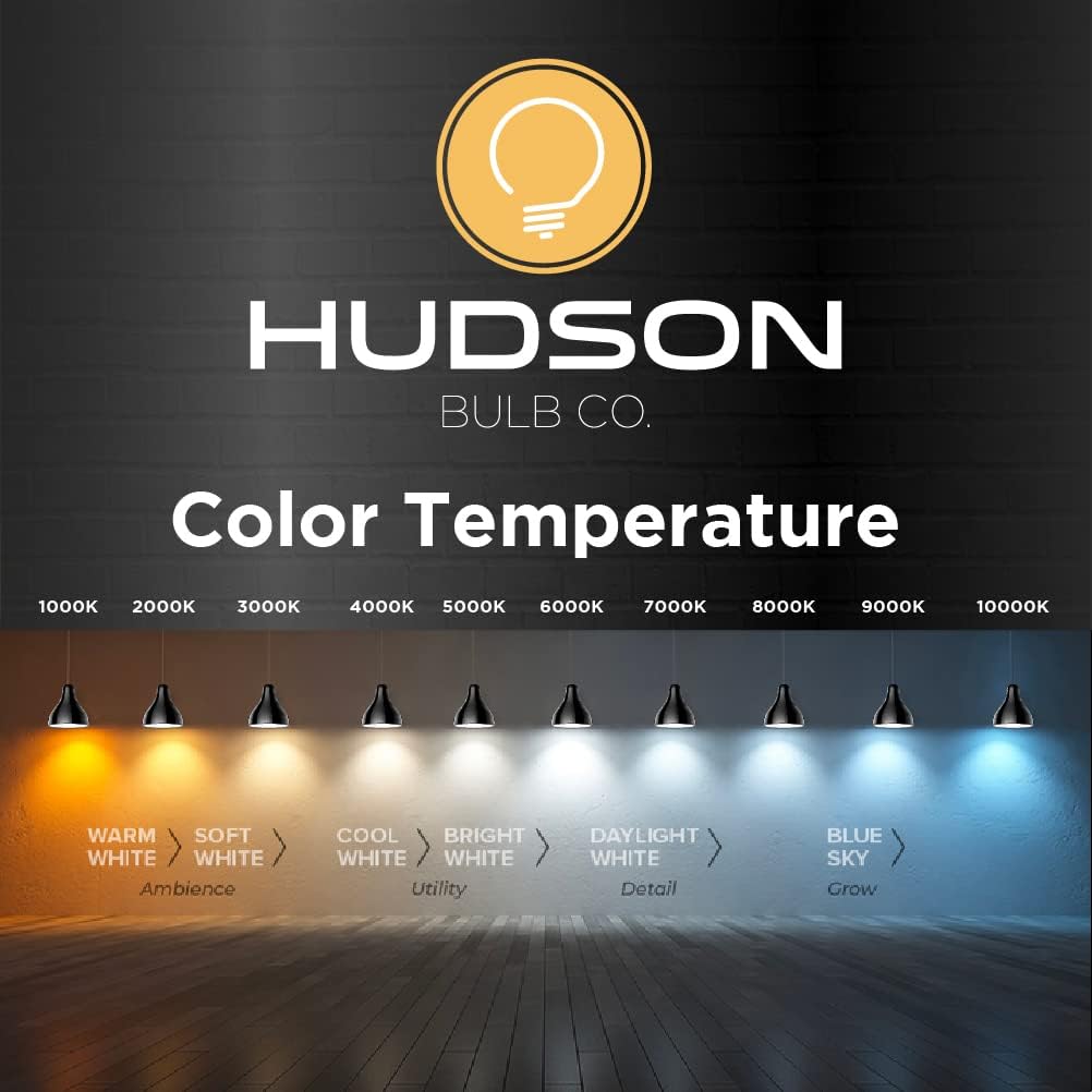 Vintage Incandescent Edison Light Bulbs, 60W, E26/E27 Base, 2100K Dimmable Decorative Lights, ST58 Style Amber Warm