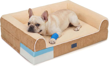Orthopedic Dog Bed for Medium Size Dogs, 5" Extra Thick Memory Foam