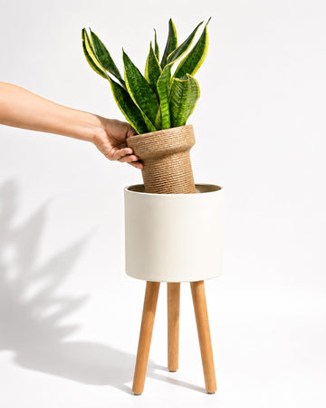 Single Plant Holder for Indoor Plants Metal Planter Stand 8.5in