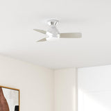 Ceiling Fans with Lights, 30 inch Low Profile Ceiling Fan with Light and Remote Control, Flush Mount, Reversible, 3CCT, Dimmable, Noiseless, Nickel Ceiling Fan for Bedroom, Indoor/Outdoor Use A102-B0C61KVQC4