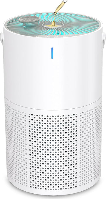 Air Purifiers for Bedroom Office, H13 True HEPA Filter Air Purifiers for Home Pets, Smoke, Odor, Dus