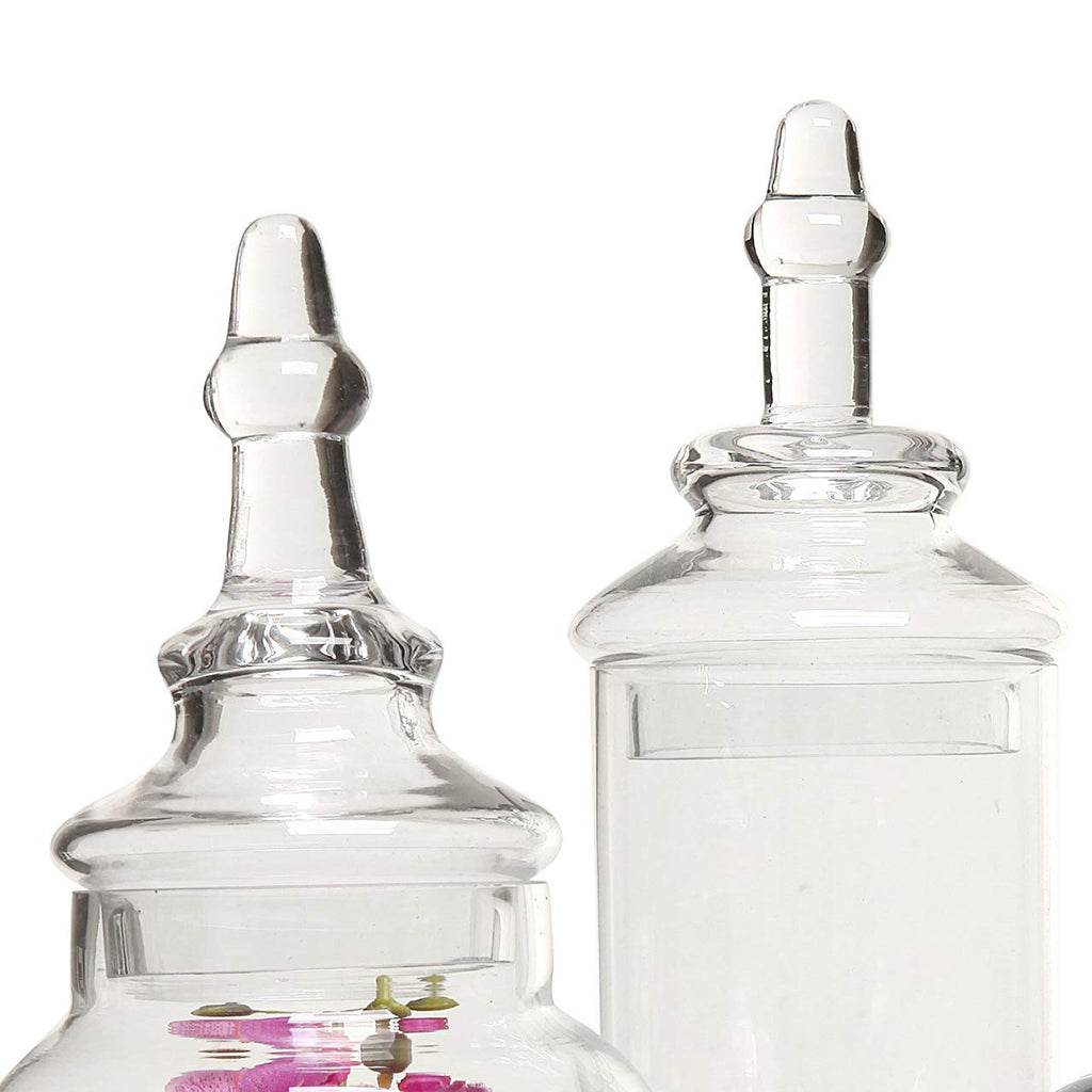 Clear Glass Apothecary Jars with Lid, Set of 3