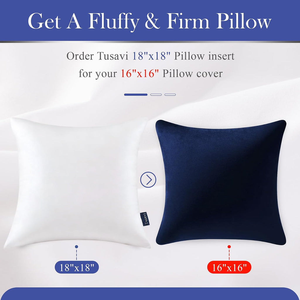 18 x 18 Throw Pillow Inserts() Firm & Fluffy Decorative Down Alternative 18 Pillows for Couch Sofa Bed Living - Set of 2
