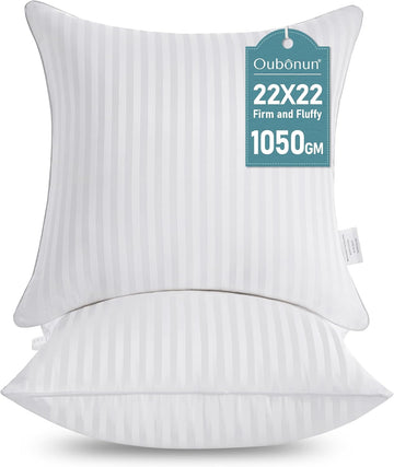 22 x 22 Throw Pillow Inserts - Set of 2