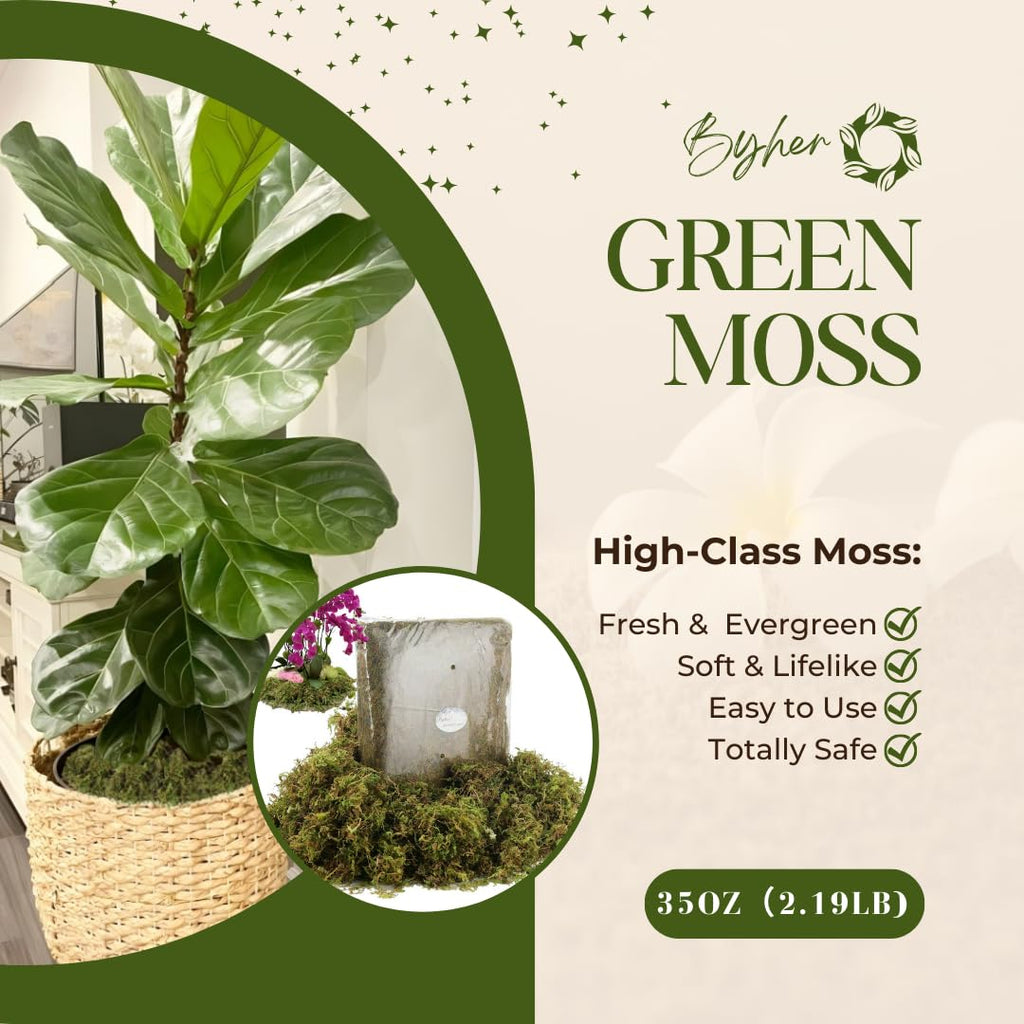 2.2LB Large Capacity Fake Moss for Plants Indoor, 35 OZ Fresh Green Moss for Potted Plants Craft Moss Decor Fairy