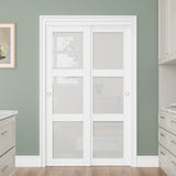 Bypass Glass Sliding Closet Door 48x80, Double Closet Panels with Hardware & Fascia, 3 Lite Frosted 