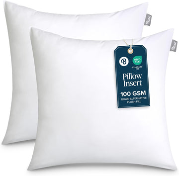Throw Pillow Insert 18 x 18 Inches (, White) - Set of 2