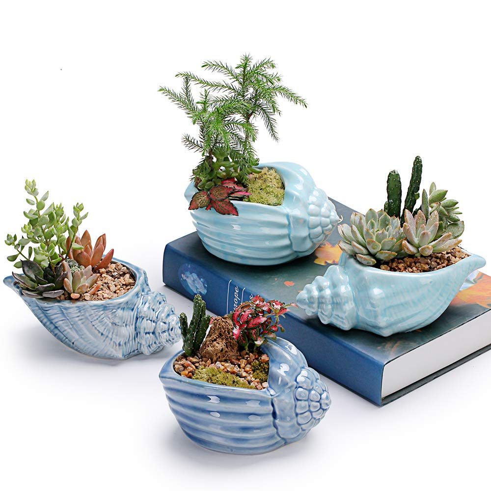 5.5" Conch Shell Succulent Pots, Ceramic Ocean Planters with Hole, 4 Pack