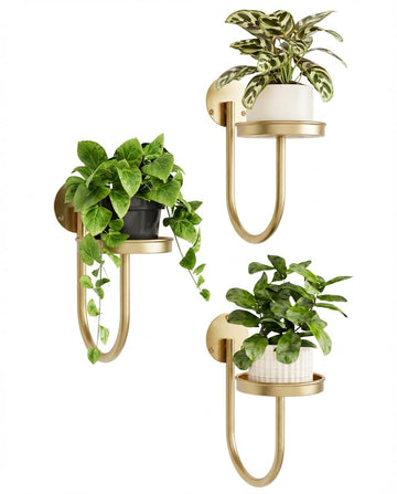 Wall Plant Holder for Hanging Planters, Gold, 3pcs