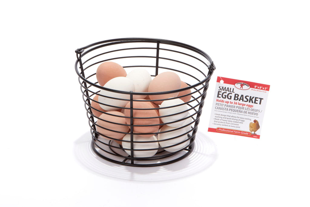 Small Egg Basket | Basket for Carrying and Collecting Chicken Eggs | Wire Egg Basket | Egg Collecting Basket