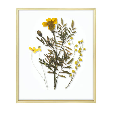 16x20 Gold Aluminum Floating Picture Frame Real Glass