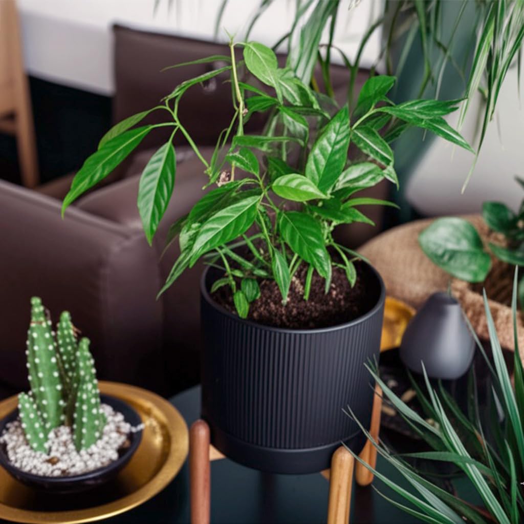8 Inch Ceramic Planter with Natural Wood Stand w/Drainage & Saucer - Modern Indoor Planter for Cacti, Snake Plants &