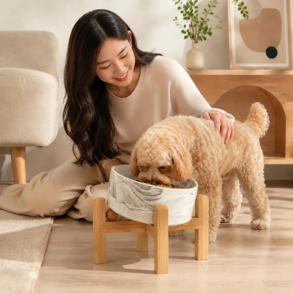 Elevated Ceramic Dog Bowl 15°Slanted Raised Dog Bowl with Bamboo Stand for Small Medium Dogs and Cats, Pet Feeder