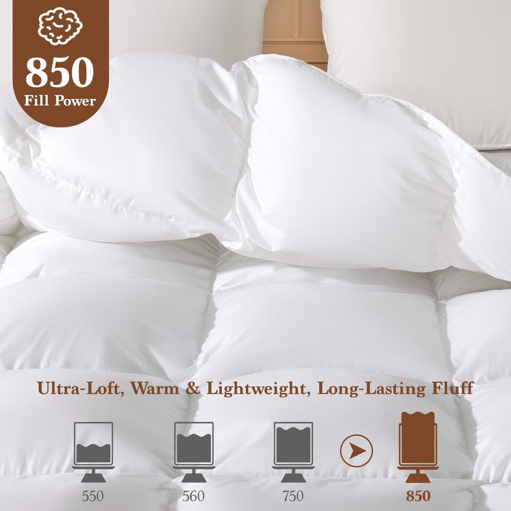 Goose Down Comforter Oversize King Size, 600 TC Cotton Cover
