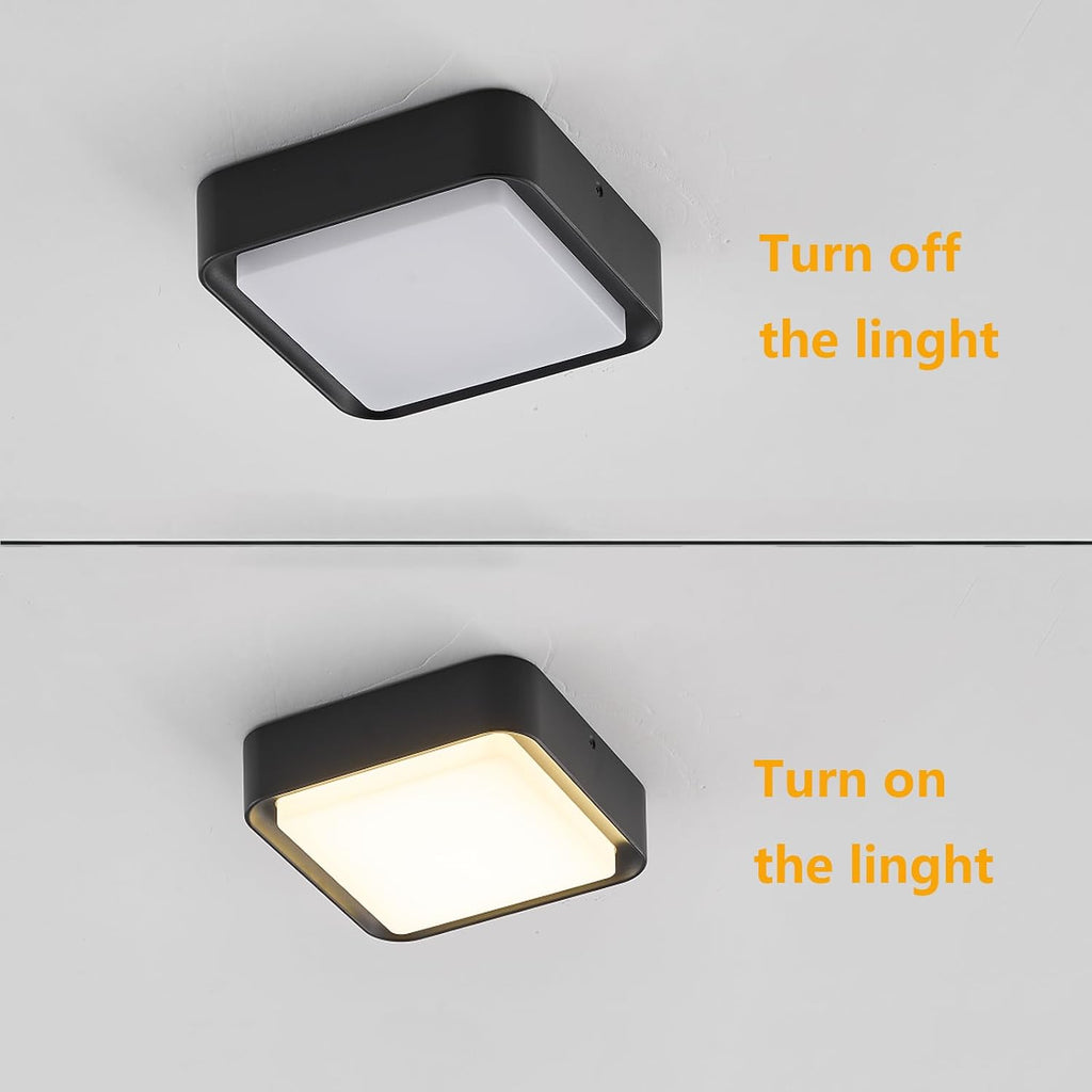 Outdoor Ceiling Light for Porch, Durable & Weatherproof, Easy Installation