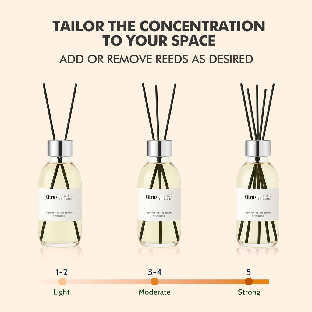 Reed Diffuser Set, 6.7 oz Scented Diffuser with Sticks, Home Fragrance Reed Diffuser Shelf Decor